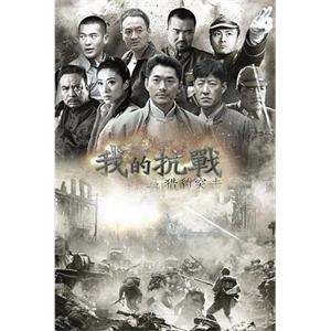 我的抗战之猎豹突击(2012)
