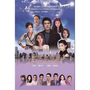 爱是欢乐的源泉(2017)