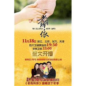老有所依(2013)