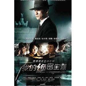 我的绝密生涯(2014)
