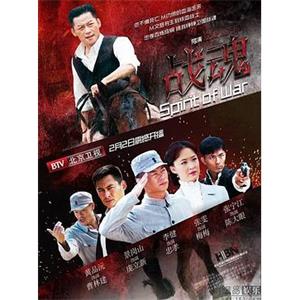 战魂(2013)