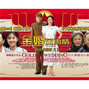 金婚·风雨情(2009)