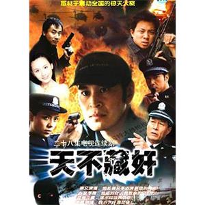 天不藏奸(2003)