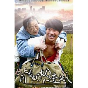 背着奶奶进城(2015)