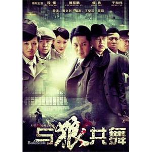 与狼共舞(2012)