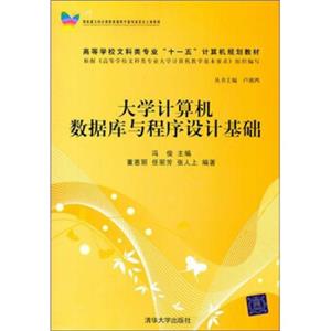 大学计算机数据库与程序设计基础
