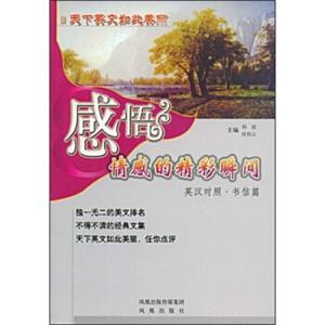 感悟情感的精彩瞬间