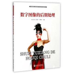 数字图像的后期处理/高等院校人物形象设计专业系列规划教材