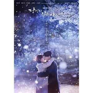 当你沉睡时 당신이 잠든 사이에(2017)