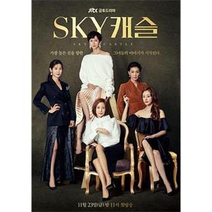天空之城 SKY 캐슬(2018)
