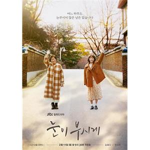 耀眼 눈이 부시게(2019)