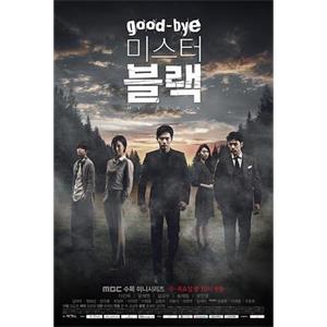 再见，布莱克先生 굿바이 미스터 블랙(2016)