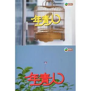 年青人(1977)