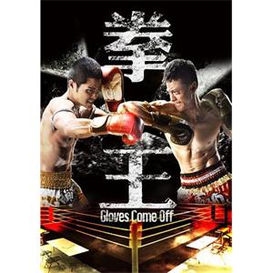 拳王(2012)