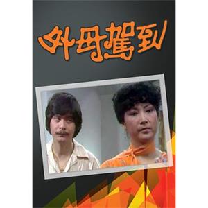 外母驾到 外母駕到(1980)