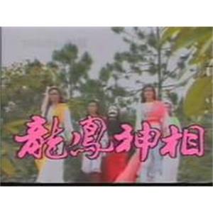 龙凤神相(1990)