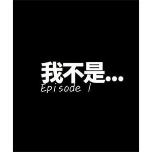 我不是.... 我不是...(2016)