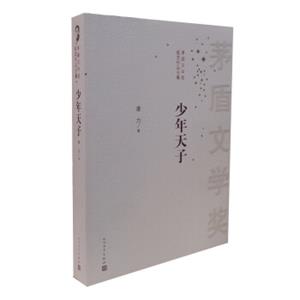 茅盾文学奖获奖作品全集：少年天子