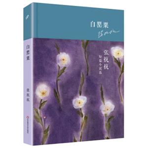 白罂粟张抗抗短篇小说选（精装）