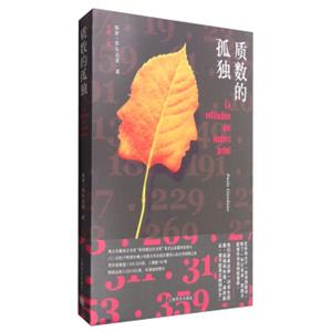 质数的孤独