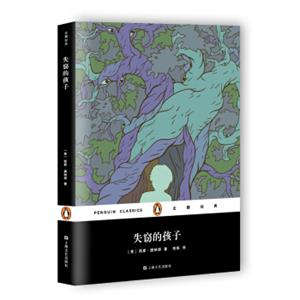 文学名著·企鹅经典：失窃的孩子（平装）
