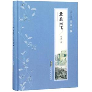 北雁南飞/张恨水作品典藏