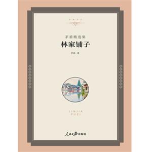 名家文丛—林家铺子：矛盾精选集