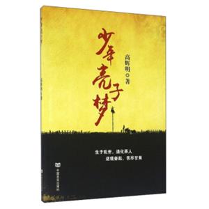 少年亮子梦