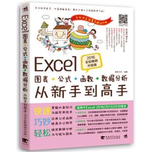 Excel图表/公式/函数/数据分析从新手到高手（2016全彩畅销升级版）