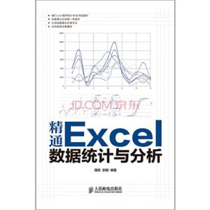 精通Excel数据统计与分析