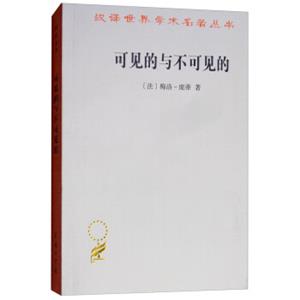 可见的与不可见的/汉译世界学术名著丛书