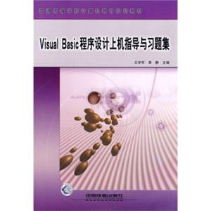 普通高等学校计算机教育规划教材：VisualBasic程序设计上机指导与习题集