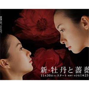 新牡丹与蔷薇 新・牡丹と薔薇(2015)