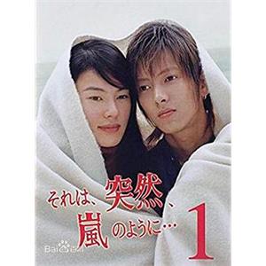 像暴风雨般的恋爱 それは、突然、嵐のように…(2004)
