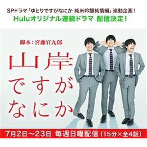 我是山岸，有何贵干 山岸ですがなにか(2017)