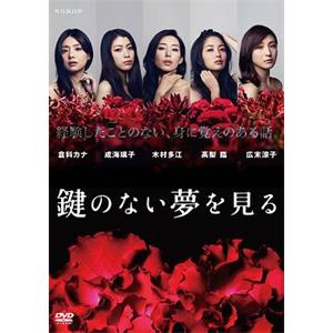 没有钥匙的梦 鍵のない夢を見る(2013)