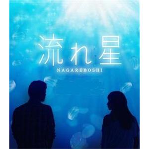 流星 流れ星(2010)