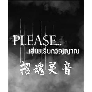 please灵魂之声(2017)