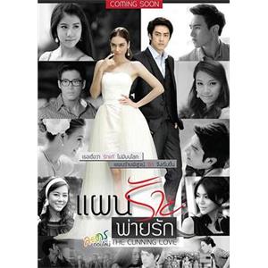 狡猾的爱 แผนร้ายพ่ายรัก(2013)