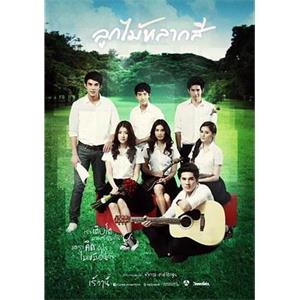 缤纷之实 ลูกไม้หลากสี(2013)