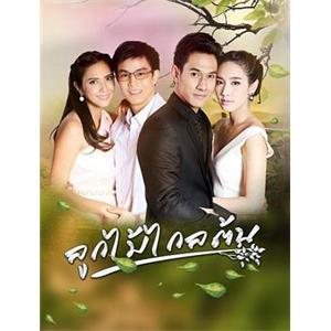 劫缘 ลูกไม้..ไกลต้น(2016)
