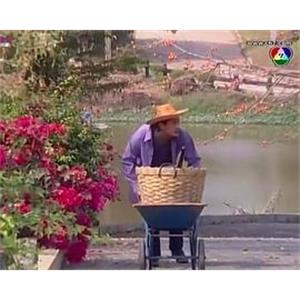 黑色幽默 ดำขำ(2009)