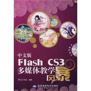 中文版FlashCS3多媒体教学风暴（附光盘）