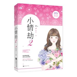 小情劫2