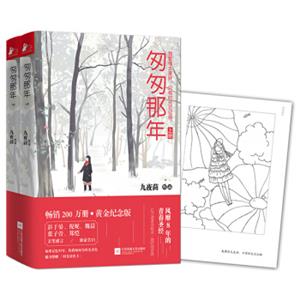 匆匆那年（套装共2册）